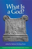 What Is a God?: Anthropomorphic and Non-Anthropomorphic Aspects of Deity in Ancient Mesopotamia edito da EISENBRAUNS