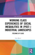 Working Class Experiences Of Social Inequalities In (Post-) Industrial Landscapes di Lars Meier edito da Taylor & Francis Ltd