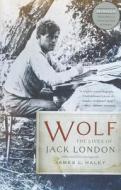 Wolf: The Lives of Jack London di James L. Haley edito da BASIC BOOKS