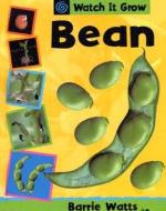 Bean di Barrie Watts edito da Smart Apple Media
