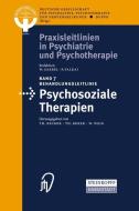 Behandlungsleitlinie Psychosoziale Therapien di Dgppn edito da Steinkopff