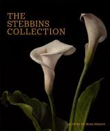 The Stebbins Collection: A Gift for the Morse Museum di Regina Palm edito da GILES