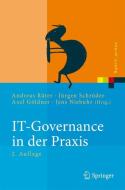 IT-Governance in der Praxis edito da Springer-Verlag GmbH