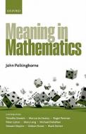 Meaning in Mathematics di John Polkinghorne edito da OUP Oxford