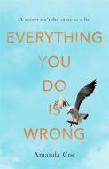 Everything You Do Is Wrong di Amanda Coe edito da Little, Brown Book Group