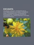 Excavata di Quelle Wikipedia edito da Books LLC, Reference Series