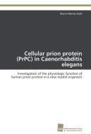 Cellular prion protein (PrPC) in Caenorhabditis elegans di Marcel Werner Stahl edito da Südwestdeutscher Verlag für Hochschulschriften AG  Co. KG