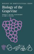 The Biology of the Grapevine di Michael G. Mullins, Alain Bouquet, Larry E. Williams edito da Cambridge University Press