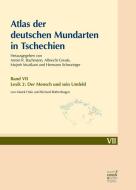 Atlas der deutschen Mundarten in Tschechien 07 di Marek Halo, Richard Rothenhagen edito da Francke A. Verlag