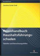 Praxishandbuch Haushaltsführungsschaden edito da Deutscher Anwaltverlag Gm