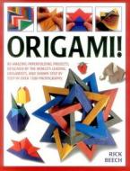 Origami! di Rick Beech edito da Anness Publishing
