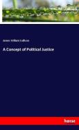 A Concept of Political Justice di James William Sullivan edito da hansebooks