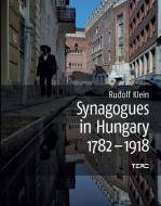 SYNAGOGES IN HUNGARY, 1782-1918 HB di Rudolf Klein edito da CENTRAL EUROPEAN UNIVERSITY PRESS
