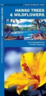 Hawaii Trees & Wildflowers: A Folding Pocket Guide to Familiar Species di James Kavanagh, Waterford Press edito da Waterford Press