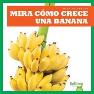 Mira Como Crece Una Banana (Watch a Banana Grow) di Kirsten Chang edito da JUMP