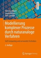 Modellierung komplexer Prozesse durch naturanaloge Verfahren di Christina Klüver, Jürgen Klüver, Jörn Schmidt edito da Vieweg+Teubner Verlag
