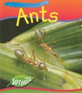 Ants di Sue Barraclough edito da Raintree