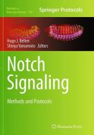 Notch Signaling edito da Springer New York