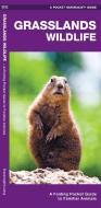Grasslands Wildlife: An Introduction to Familiar Species Found in Prairie Grasslands di James Kavanagh edito da Waterford Press