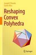 Reshaping Convex Polyhedra di Costin Vîlcu, Joseph O'Rourke edito da Springer Nature Switzerland