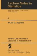 Benefit-Cost Analysis of Data Used to Allocate Funds di Bruce Spencer edito da Springer New York