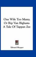 One Wife Too Many; Or Rip Van Bigham: A Tale of Tappan Zee di Edward Hopper edito da Kessinger Publishing