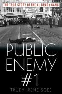 Public Enemy #1 di Scee edito da Down East Books