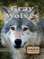 Gray Wolves di Don McLeese edito da Rourke Publishing (FL)