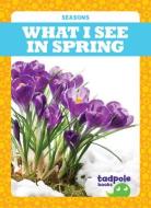 What I See in Spring di Danielle J. Jacks edito da TADPOLE BOOKS