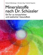 Mineralstoffe nach Dr. Schüssler di Richard Kellenberger, Christine Kellenberger, Friedrich Kopsche edito da AT Verlag