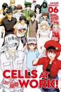 Cells at Work! 6 di Akane Shimizu edito da Manga Cult