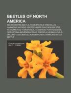 Beetles Of North America: Mountain Pine di Books Llc edito da Books LLC, Wiki Series