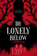 The Lonely Below di G. Haron Davis edito da SCHOLASTIC