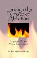 Through The Furnace Of Affliction di Rev Dr Greg Broussard D Min edito da Pleasant Word
