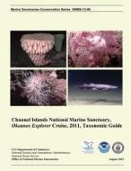 Taxonomic Guide: Channel Islands National Marine Sanctuary, Okeanos Explorer Cruise, 2011 di D. Lipski, J. L. Bright, National Oceanic and Atmospheric Adminis edito da Createspace