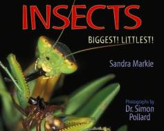 Insects: Biggest! Littlest! di Sandra Markle edito da Boyds Mills Press