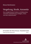 Vergeltung, Strafe, Amnestie di Klaus Bachmann edito da Lang, Peter GmbH