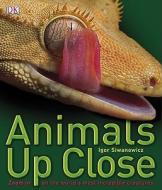 Animals Up Close: Zoom in on the World's Most Incredible Creatures di SIWANOWICZ IGOR edito da DK Publishing (Dorling Kindersley)