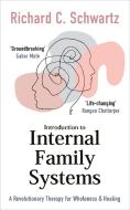 Introduction To Internal Family Systems di Richard Schwartz edito da Ebury Publishing