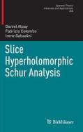 Slice Hyperholomorphic Schur Analysis di Daniel Alpay, Fabrizio Colombo, Irene Sabadini edito da Springer International Publishing