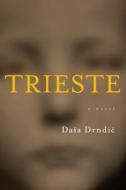 Trieste di Dasa Drndic edito da Houghton Mifflin