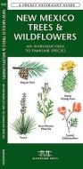 New Mexico Trees & Wildflowers: An Introduction to Familiar Species di James Kavanagh edito da Waterford Press