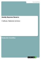 Cultura. S Ntesis Te Rica di Enaidy Reynosa Navarro edito da Grin Publishing
