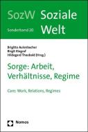 Sorge: Arbeit, Verhältnisse, Regime edito da Nomos Verlagsges.MBH + Co