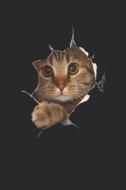 Süßes 3D Kätzchen Riss: Notizbuch / Notizheft Für Katzenliebhaber Katzenliebhaber-In Katzenfreund-In Crazy Cat Lady A5 ( di Katzenme Notizbucher Und Geschenkideen edito da INDEPENDENTLY PUBLISHED