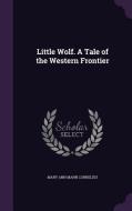 Little Wolf. A Tale Of The Western Frontier di Mary Ann Mann Cornelius edito da Palala Press