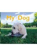 Rigby Flying Colors: Individual Student Edition Magenta My Dog di Various, Tidey edito da Rigby