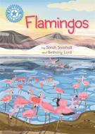 Reading Champion: Flamingoes di Sarah Snashall edito da Hachette Children's Group