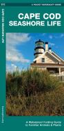 Cape Cod Seashore Life: A Waterproof Folding Guide to Familiar Animals & Plants di James Kavanagh, Waterford Press edito da WATERFORD PR