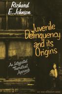 Juvenile Delinquency and Its Origins di Richard E. Johnson, Eric Ed. Johnson, Johnson Richard E. edito da Cambridge University Press